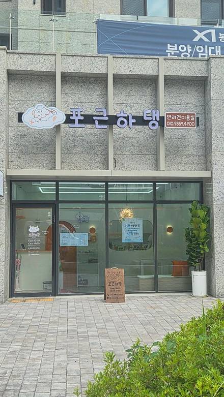 포근하댕