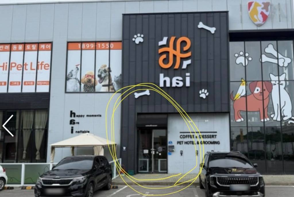 댕결하개 사진 1